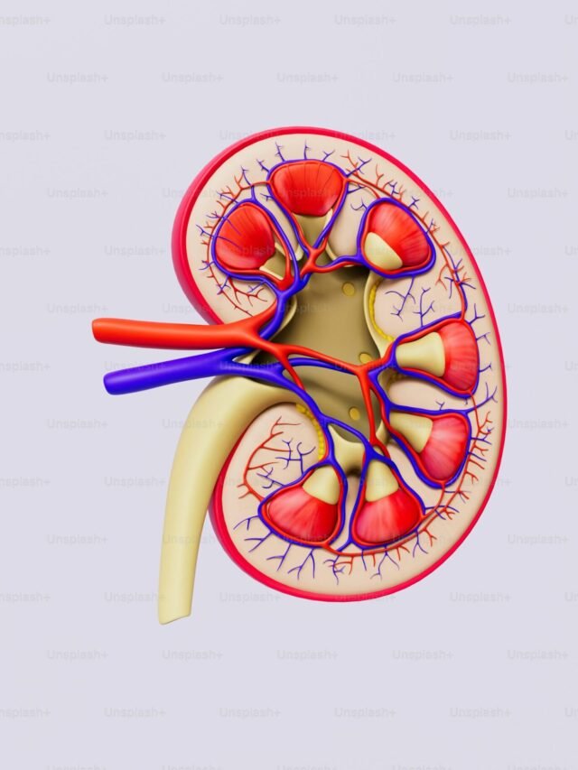 7 Early Signs of Kidney Disease